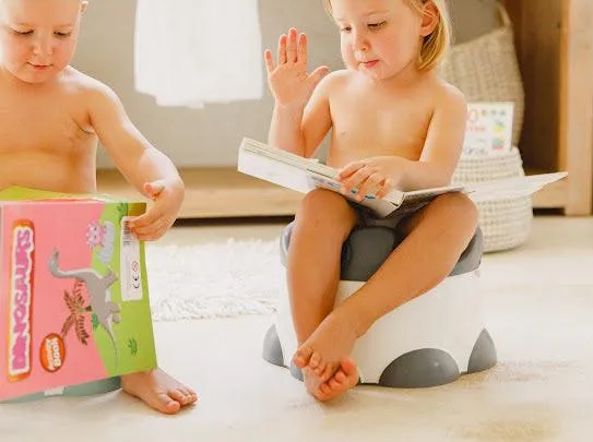 Bumbo Step 'n Potty