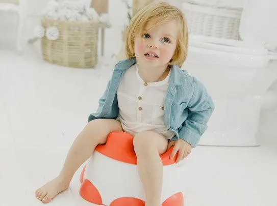 Bumbo Step 'n Potty
