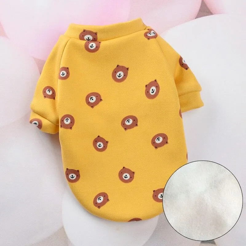 Cat's Colorful Print Sweatshirt