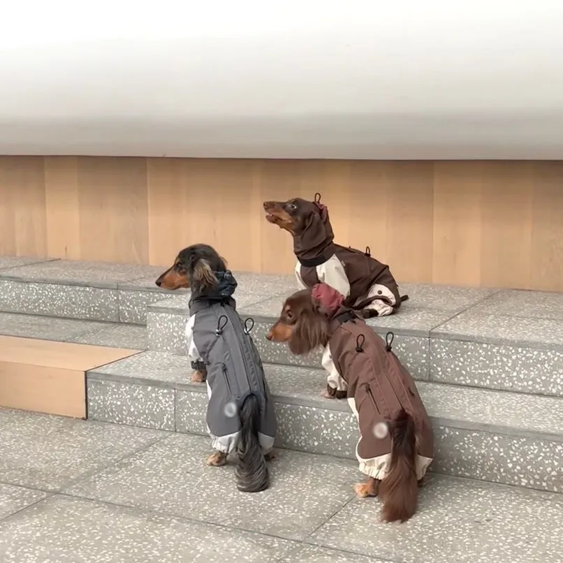 Cold resistant sausage dog pet clothing for autumn and winter, small and medium-sized assault suit