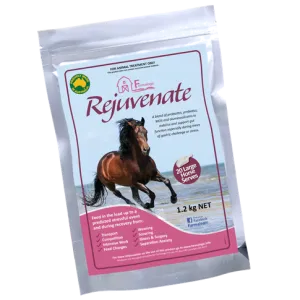 Farmalogic Rejuvenate - Equine Digestive Supplement