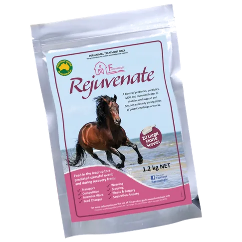 Farmalogic Rejuvenate - Equine Digestive Supplement