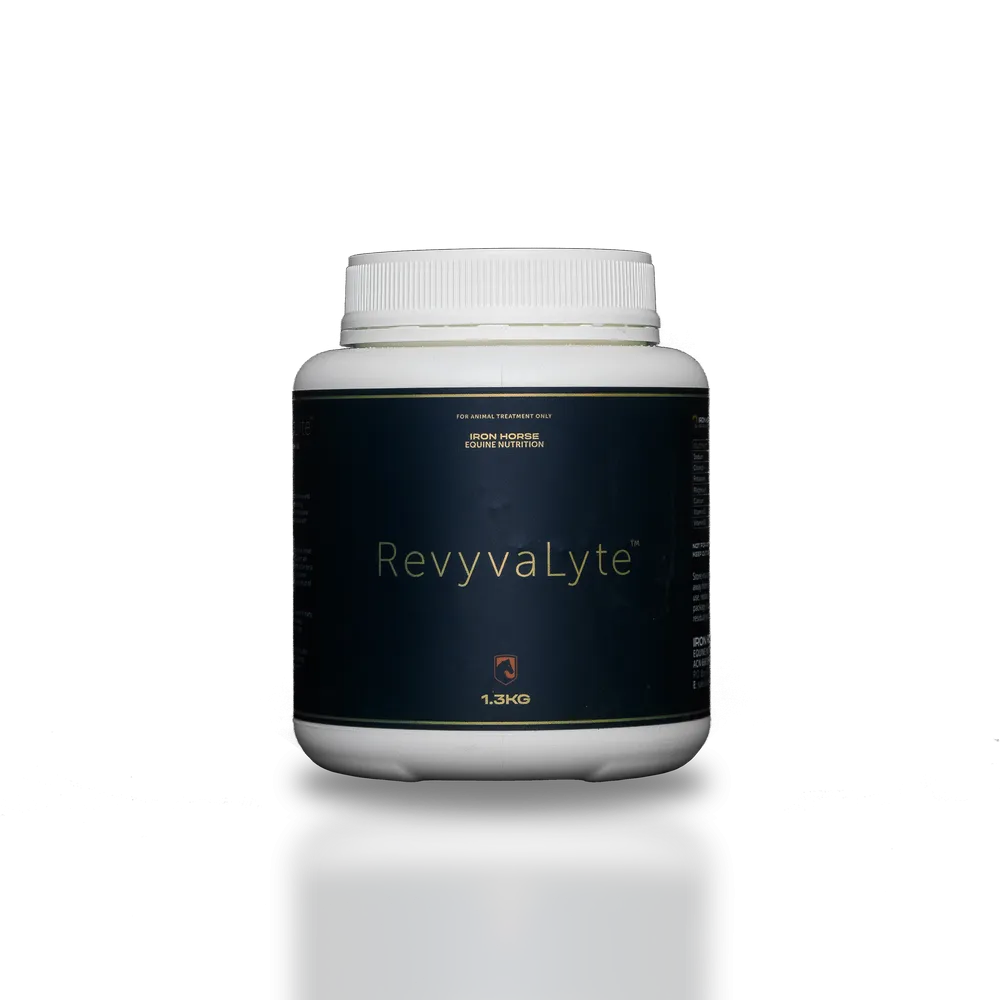 Iron Horse Equine Nutrition RevyvaLyte