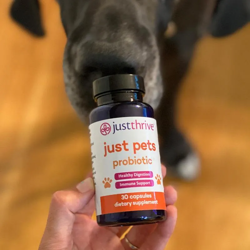 Just Pets Probiotic