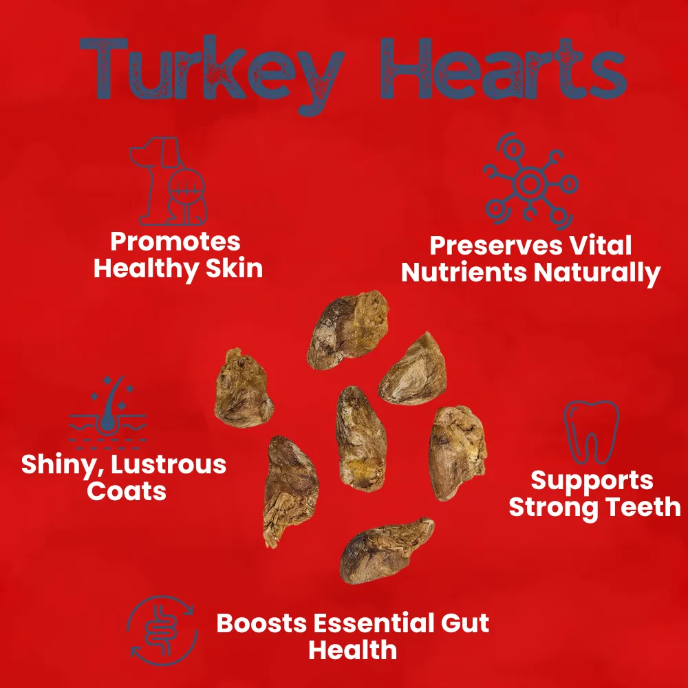 Kanu Pet Freeze Dried Turkey Heart Dog Treat
