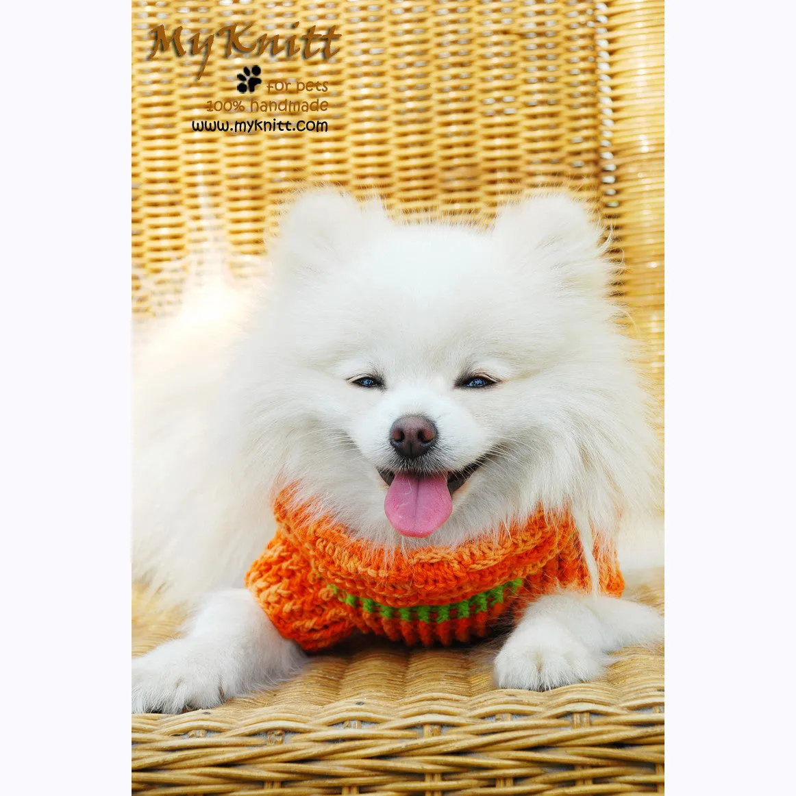 Orange Boy Dog Sweater DK837