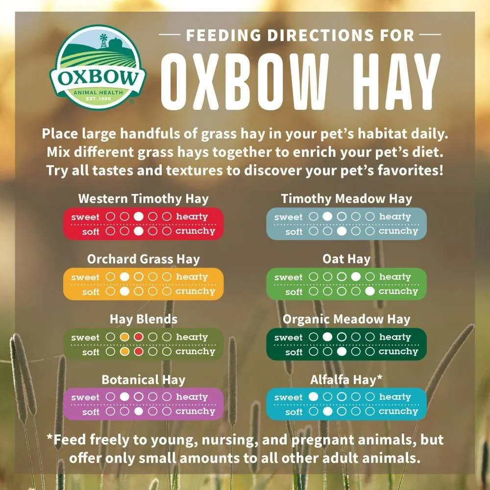Oxbow Animal Health All Natural Oat Hay for Rabbits Guinea Pigs, Chinchillas, Hamsters & Gerbils