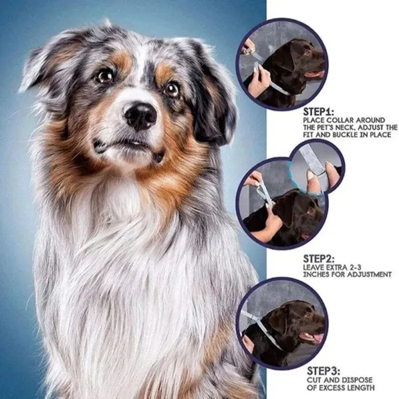 SEISSO Pet Anti-Flea Collar 8 Months Protection