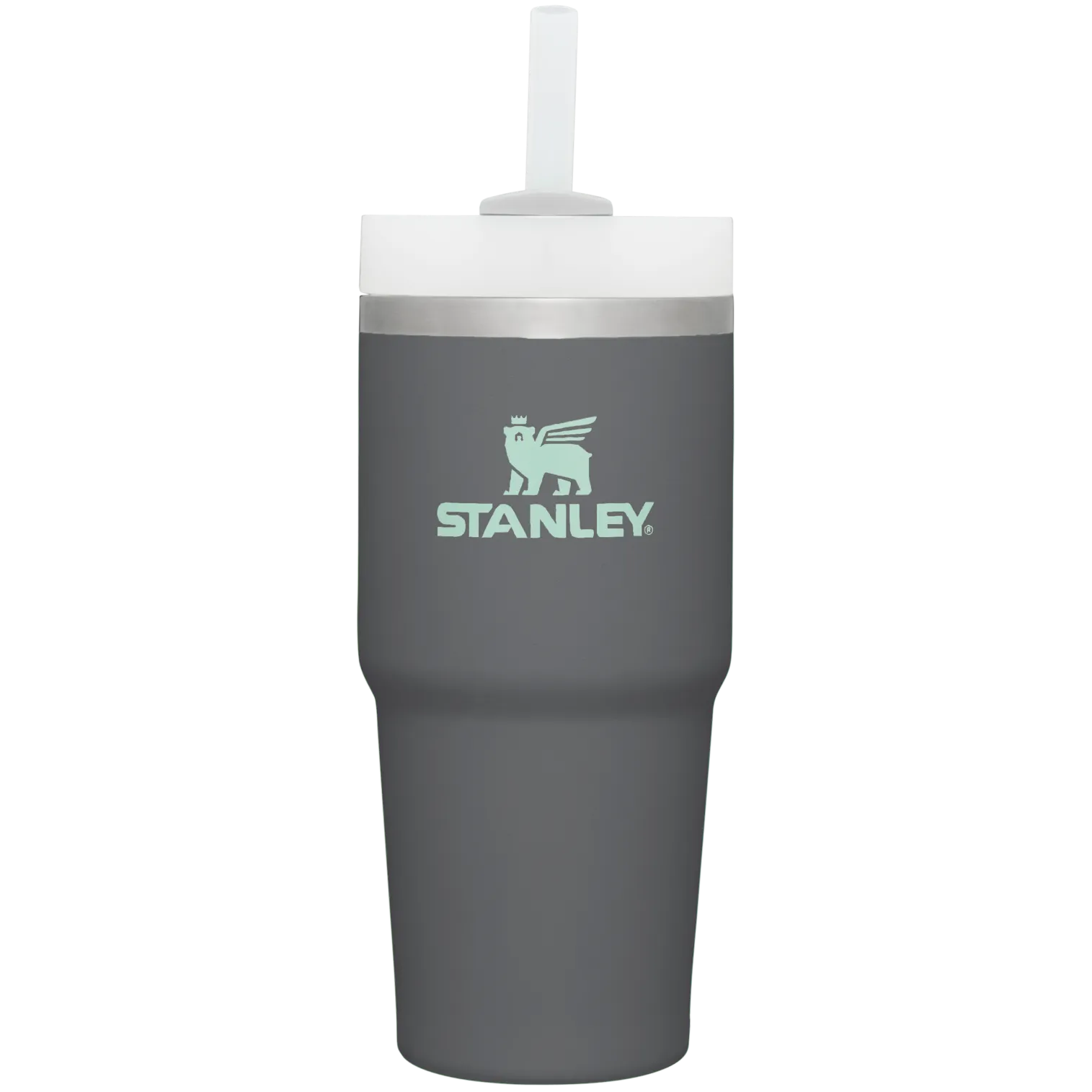 The Quencher H2.0 FlowState™ Tumbler | 20 OZ | 0.6 L