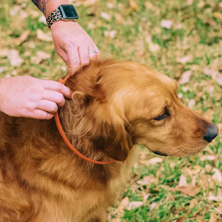 Wondercide Peppermint Flea and Tick Collar For Dogs